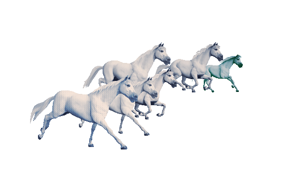 CHEVAL PALE